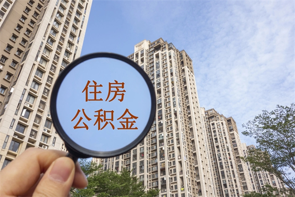 五指山怎么把公积金全部取出来（如何将公积金全部取出）